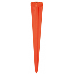 Cone (wortel) - oranje...